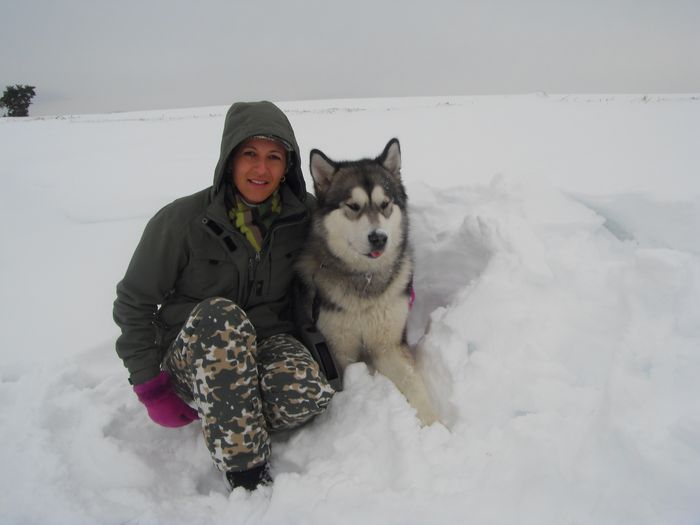scout 12-2010 16.jpg